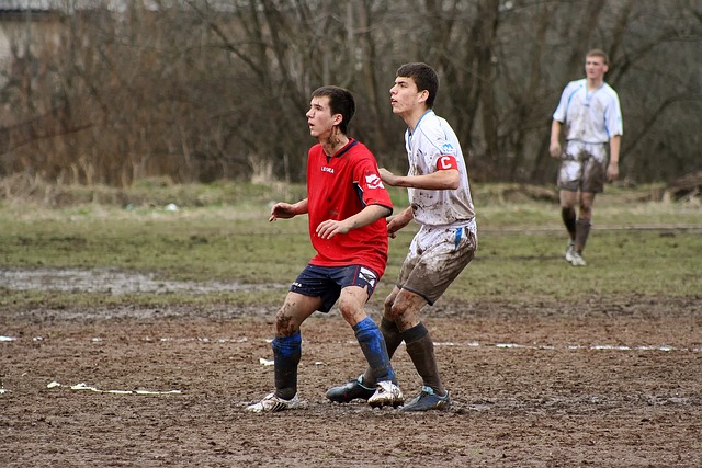 预计会出现 预计会出现