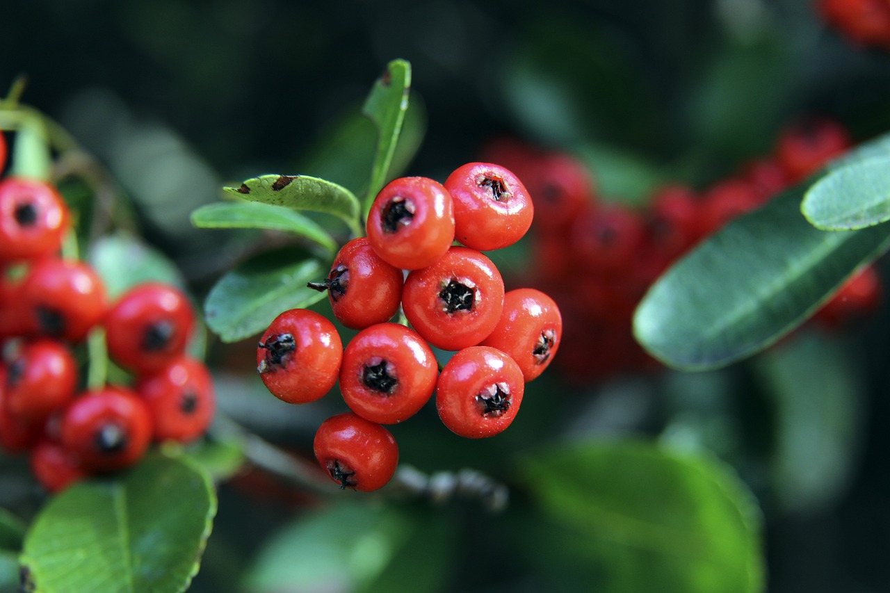 和灵活的战 和灵活的战