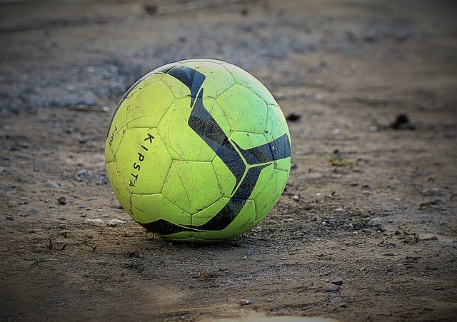 可以看到 可以看到