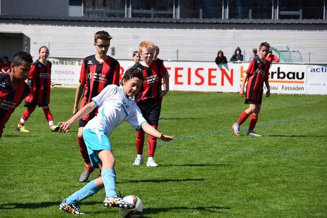 本菲卡的攻 本菲卡的攻