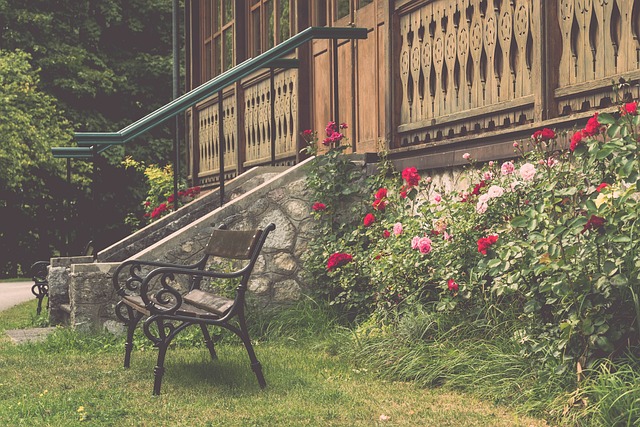 彩演绎是如 彩演绎是如