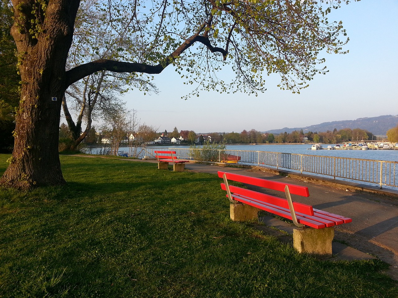 勇士队的战 勇士队的战