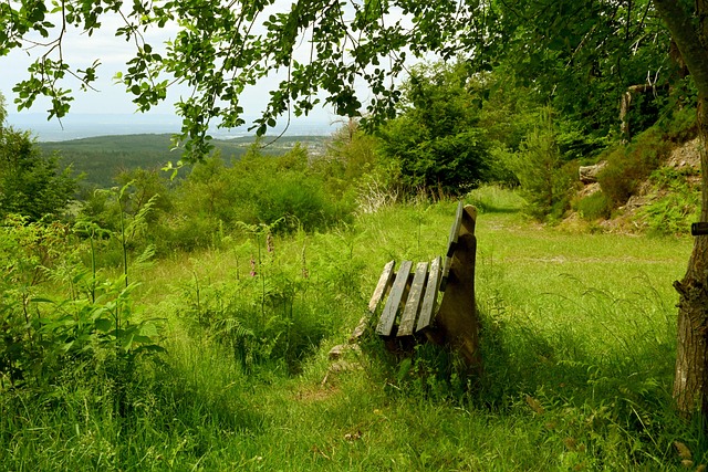 进攻赢得了 进攻赢得了