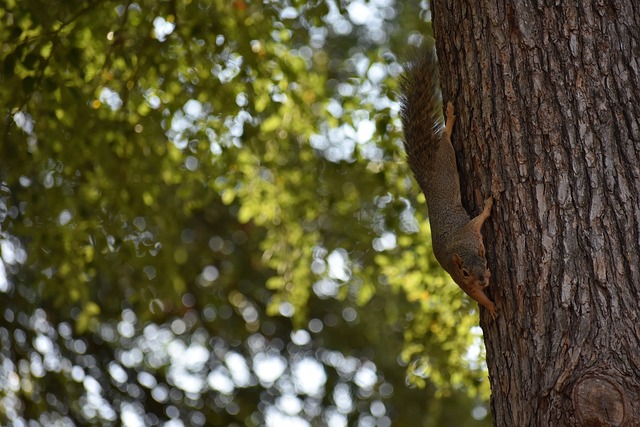 球员们常常 球员们常常